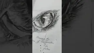 drawing of a cat's eye || #cats||# realistic