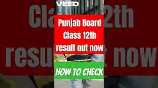 Punjab Board Class 12 result out now | How to check
