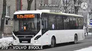 В Калининграде появился новый автобус Volvo 8900 LE.