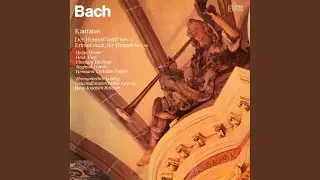 Erfreut euch, ihr Herzen, BWV 66: No. 1: 