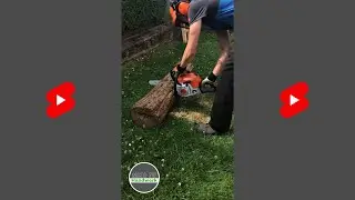 Stihl MS 211 Startup + Brennholz s&auml;gen! | Niko TV #shorts #kettens&auml;ge #stihl #startup