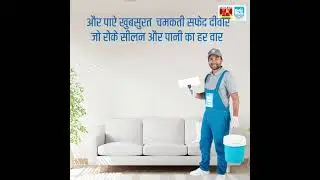 Birla White WallSeal Waterproof Putty: The Power of White Cement for Water-Resistant Walls!