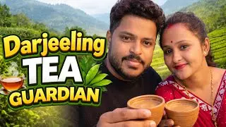 Darjeeling Tea Guardian ☕ | Inside India&rsquo;s World-Famous Tea Gardens 🌿 | Hidden Story