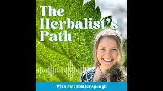 Learn to Think Like an Herbalist, Not Just Memorize Herbs