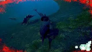 Solo Trike Fights Two Stegos | The Isle Evrima | Apex QA