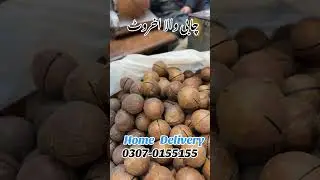 Premium Brazil Nuts &ndash; Original Quality #foryou #agriculture #driedfood #food #driedfruit #fruit