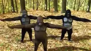 New nepali song kasle dela monkey dance monkey dance just funny360