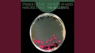 Strange Culture 2