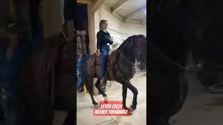 Estos celos - Vicente Fern&aacute;ndez