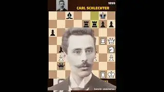BRILLIANT MOVES BY DAVID JANOWSKI