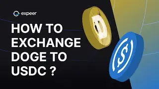 Dogecoin to USDC: Secure & Instant Exchange