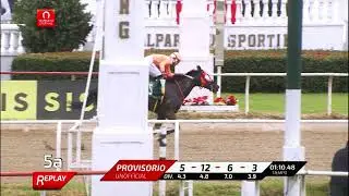 C5 QUICK CASABLANCA ( 2012 ) 01-02-2026