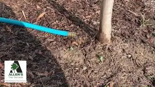Allen's Tree Service Inc.-St. Charles County Missouri-Tony's Tips #8- Call 636-332-5535