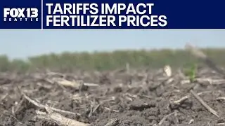 Fertilizer prices impacted by Trump tariffs | FOX 13 Seattle