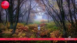 1 Hour Deep Relaxation | Relaxation music  Deep sleep | Relaxation Is Taking Over