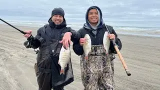 The Only Surf Perch Fishing Video You Need to Watch - Catch & Cook