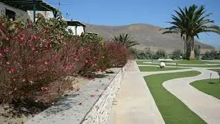 Flowers below your private veranda in Anemones Studios on Molos beach Paros