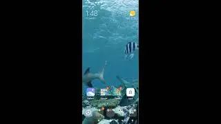 MIUI Quick Ball 😉🙂