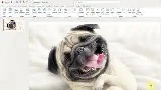 PowerPoint Save Transparent PNG