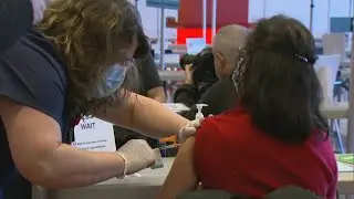 When will the coronavirus pandemic end?