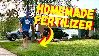HOW TO MAKE WORM TEA FERTILIZER FOR YOUR LAWN