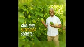 Cho-Cho Benefits: The Superfood That Lowers Blood Pressure & Balances Blood Sugar |