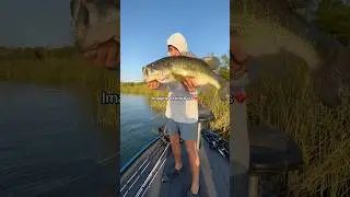Why do people even EAT bass?!😭 #fishing #shorts
