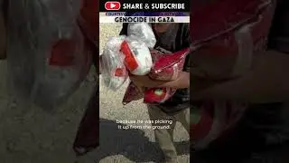 Starving in Gaza: Civilians Shot While Waiting for Food | Gaza Genocide Explained