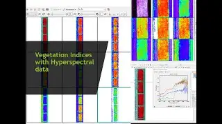 Hyperpsectral Drone data processing for crop stress analysis Using Vegetation Index Calculator ENVI