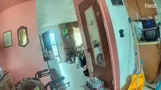 punk david shoulder checking 80 year old mother ,hiding behind her 2