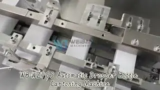 WB-WZ100 Automatic Dropper Bottle Cartoning Machine