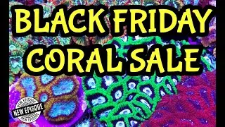 BLACK FRIDAY CORAL SALE !