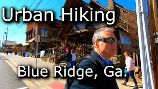 Why Everyone Loves Blue Ridge, Georgia | Dog-Friendly Mountain Town