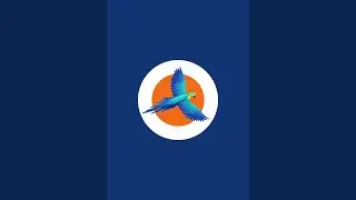 Exotic Tail is live with Birds