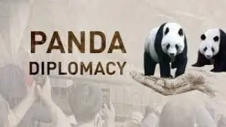 Panda Democracy  A Playful Look at Power 2024