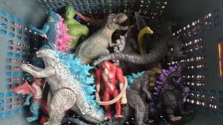 Hunting found Shin Godzilla,T Rex,indominus Rex,Burning Godzilla,earth Godzilla,kingkong x Godzilla,