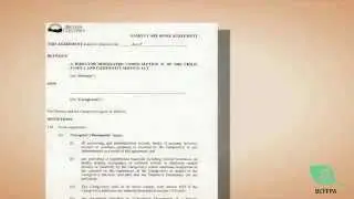 BC Foster Basics - Understanding Your Contract