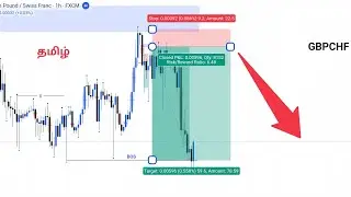 Best Smart Money Trading Concept #trading #currencytradingtips #stocktrading #forex369 