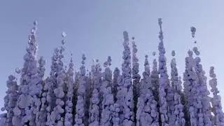 Nebula - Fantasia