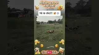 ⚽👟 Penal fallido&hellip; zapatazo perfecto 😂