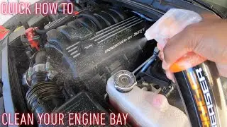 How to Clean Engine Bay Tutorial on my Dodge Challenger Scatpack