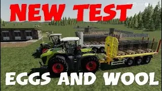 FS19 - Eggs and Wool autoload test - Farming Simulator 19-PS4.