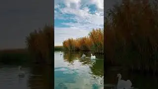 Tisza, ahol meg&aacute;ll az idő &ndash; Egy nyugodt nap a v&iacute;zparton | Sr&aacute;c a Tisz&aacute;n