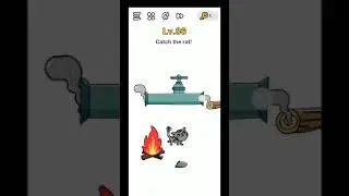 Brain Out Level 86 Walkthrough