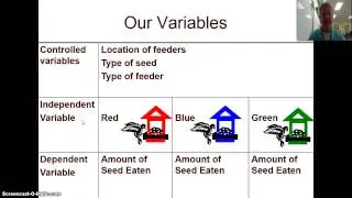 Variables Notes