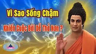 Một Ngày Sống Chậm – Là Một Ngày Có Tu | Nghe Để Tâm An, Sống Để Nhẹ Lòng