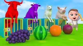 Lagu Tarian Hewan - Old MacDonald Song | Lagu Anak Anak -  Ryan Bahasa Indonesia