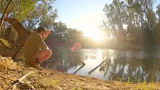 Bait Fishing the Goulburn River + Underwater Turtle Footage! | Sunny Morning at Arcadia