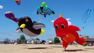 2017 Great Lakes Kite Festival