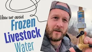 Our water lines FROZE | Freeze Miser fail?